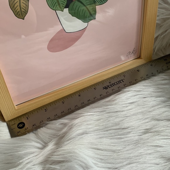 Rubber Plant Framed Print - Picture 6 of 7